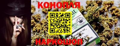 прущие грибы Вязники
