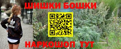прущие грибы Вязники