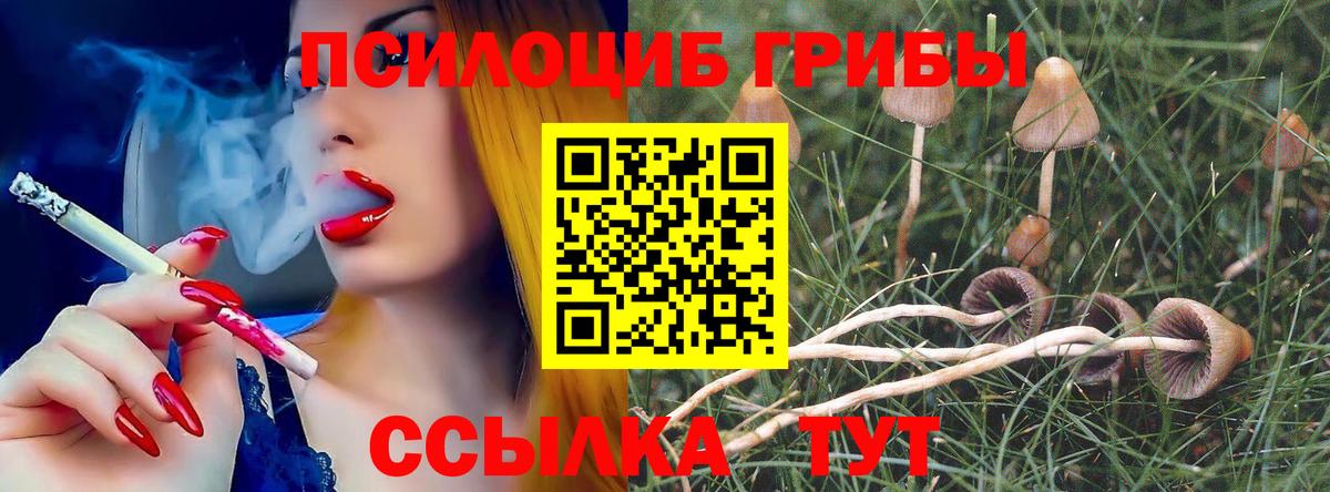 Ростов Великий  Галлюциногенные грибы Cubensis  Вход с VPN 